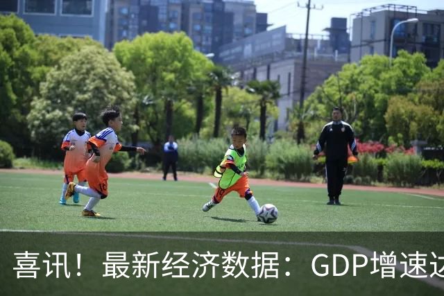 喜讯！最新经济数据：GDP增速达4.6%，人均收入上扬5.3%